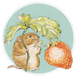 チミー・ウィリー