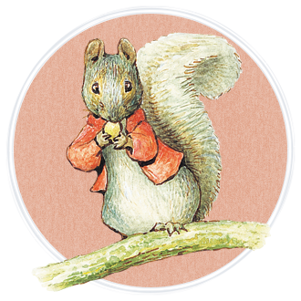 つまさきティミー