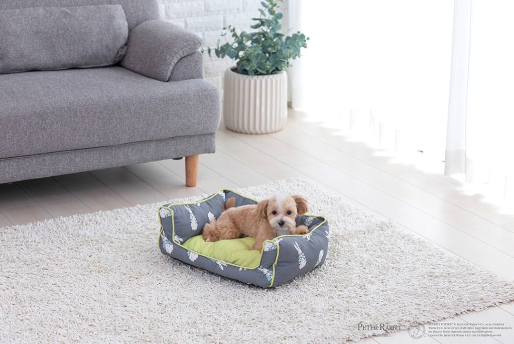 Amazon | PET SELECT (ペットセレクト) ピーターラビット
